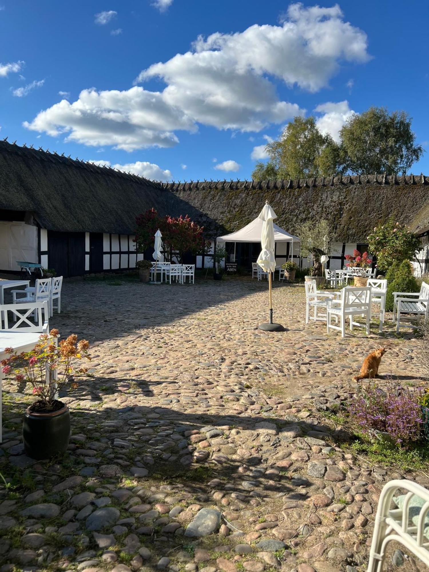 Solbjerggaard Bed & Breakfast Faaborg Exterior photo